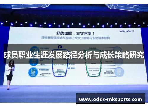 球员职业生涯发展路径分析与成长策略研究