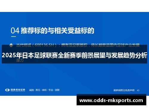 2025年日本足球联赛全新赛季前景展望与发展趋势分析